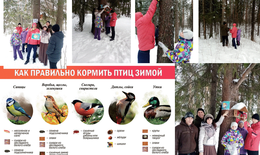 «Покормите птиц»