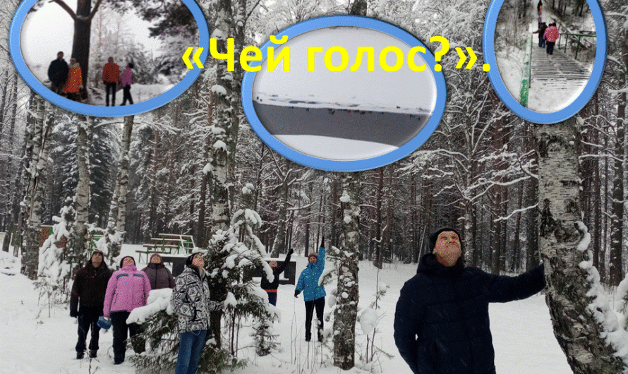 «Чей голос?».