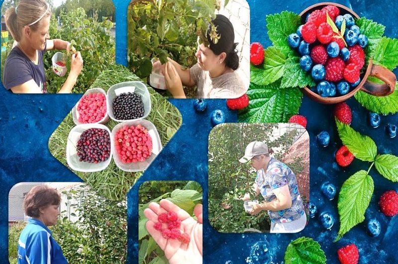 ВСЁ ПОЛЕЗНОЕ –РЯДОМ!