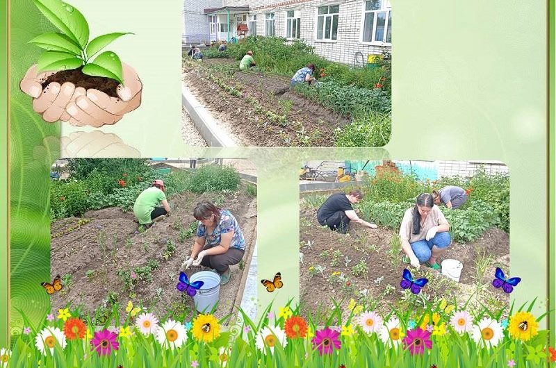 БУДНИ ОГОРОДНИЦЫ………….