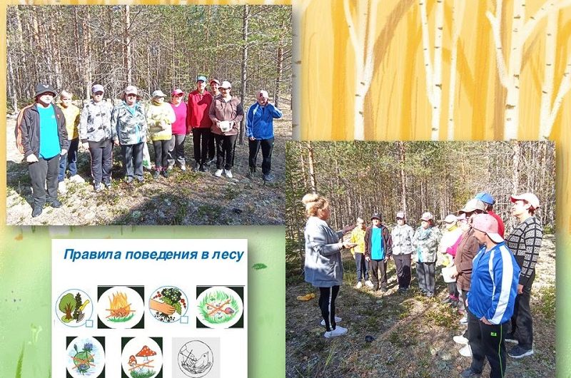 ПРАВИЛА БЕЗОПАСНОСТИ