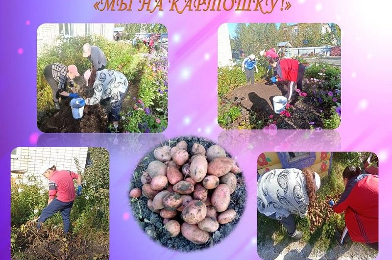 МЫ НА КАРТОШКЕ!!!