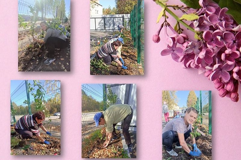 ЖИВАЯ ИЗГОРОДЬ