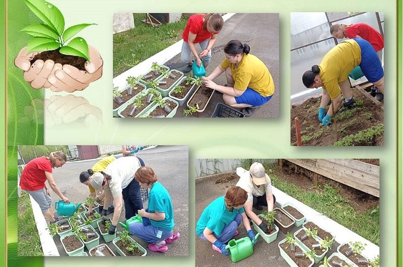 🌱🌱🌱 ТРУДИМСЯ, КАЖДЫЙ ДЕНЬ!!!!