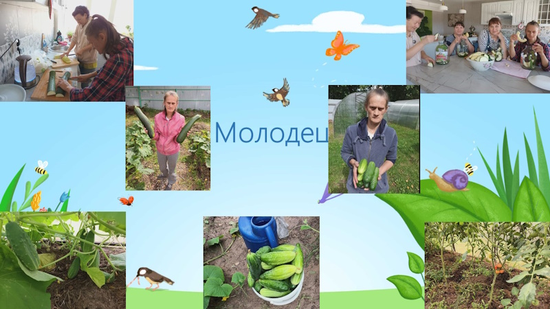 Урожай удался.