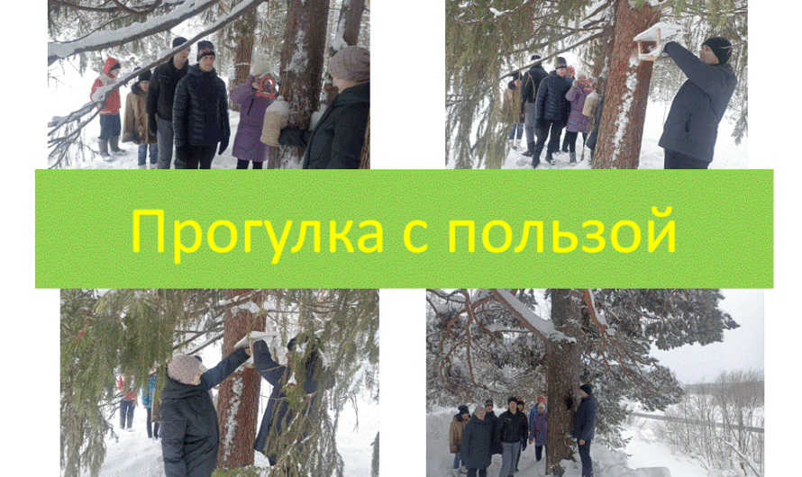 Прогулка с пользой.