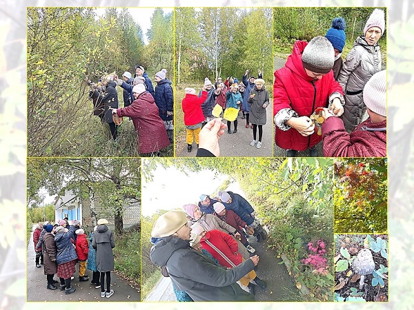 НА ПРОГУЛКУ ЗА ВПЕЧАТЛЕНИЯМИ